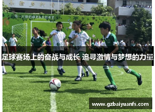 足球赛场上的奋战与成长 追寻激情与梦想的力量